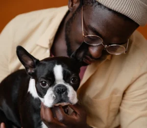 How Long Do Dogs Live? It's Up To You To Decide