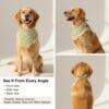 close-up of fabric and stitching on dog bandanas green floral print