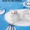 3e776fd03e7b4e3d9eb3ca75f5ef0cf5~tplv-fhlh96nyum-origin-jpeg pacific saury fish cat toys for indoor cats