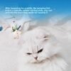 4d93c95cf30f47b28e48434edadc8787~tplv-fhlh96nyum-origin-jpeg pacific saury fish cat toys for indoor cats