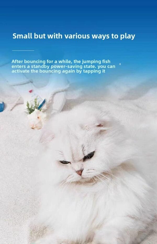 4d93c95cf30f47b28e48434edadc8787~tplv-fhlh96nyum-origin-jpeg pacific saury fish cat toys for indoor cats