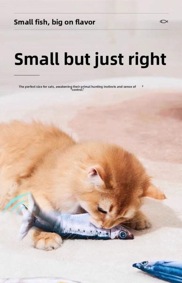 7659f14282dc483688769bff4f198695~tplv-fhlh96nyum-origin-jpeg pacific saury fish cat toys for indoor cats