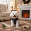 cable knit dog sweater on small white dog sitting by fireplace
