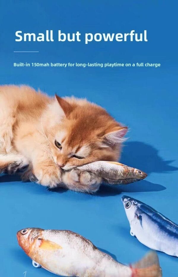 bb89fb6080ee42e1a23d0f4581cefc14~tplv-fhlh96nyum-origin-jpeg pacific saury fish cat toys for indoor cats