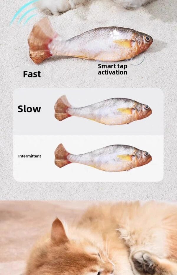 c1010590c09a4f46a5d77ed02811220f~tplv-fhlh96nyum-origin-jpeg pacific saury fish cat toys for indoor cats