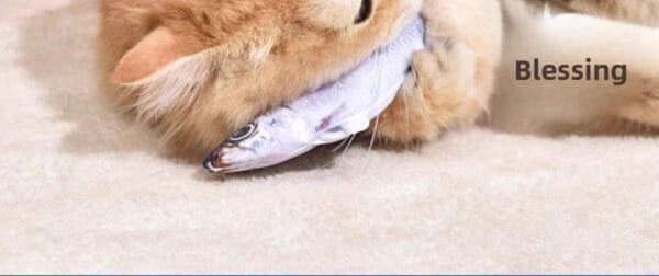 ca713a90c1364a8c8aeafaafdbb900d5~tplv-fhlh96nyum-origin-jpeg pacific saury fish cat toys for indoor cats