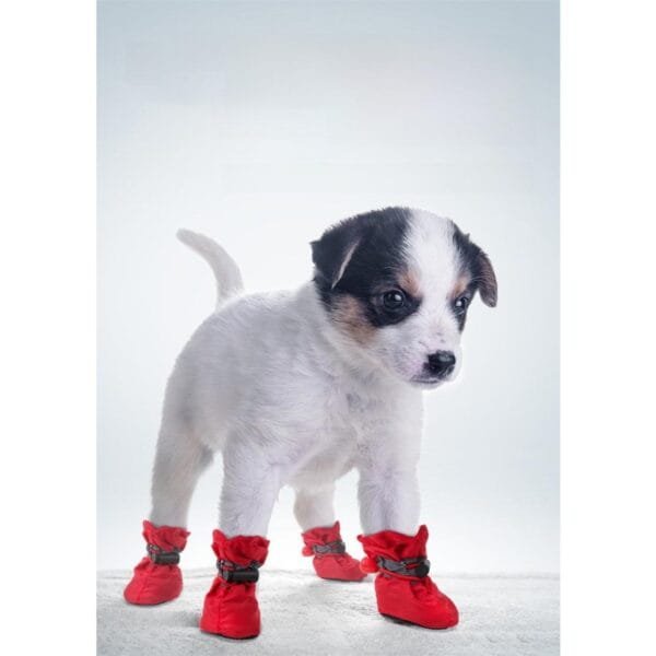 soft fleece-lined dog boots showing warm interior soft fleece-lined dog boots showing warm interior