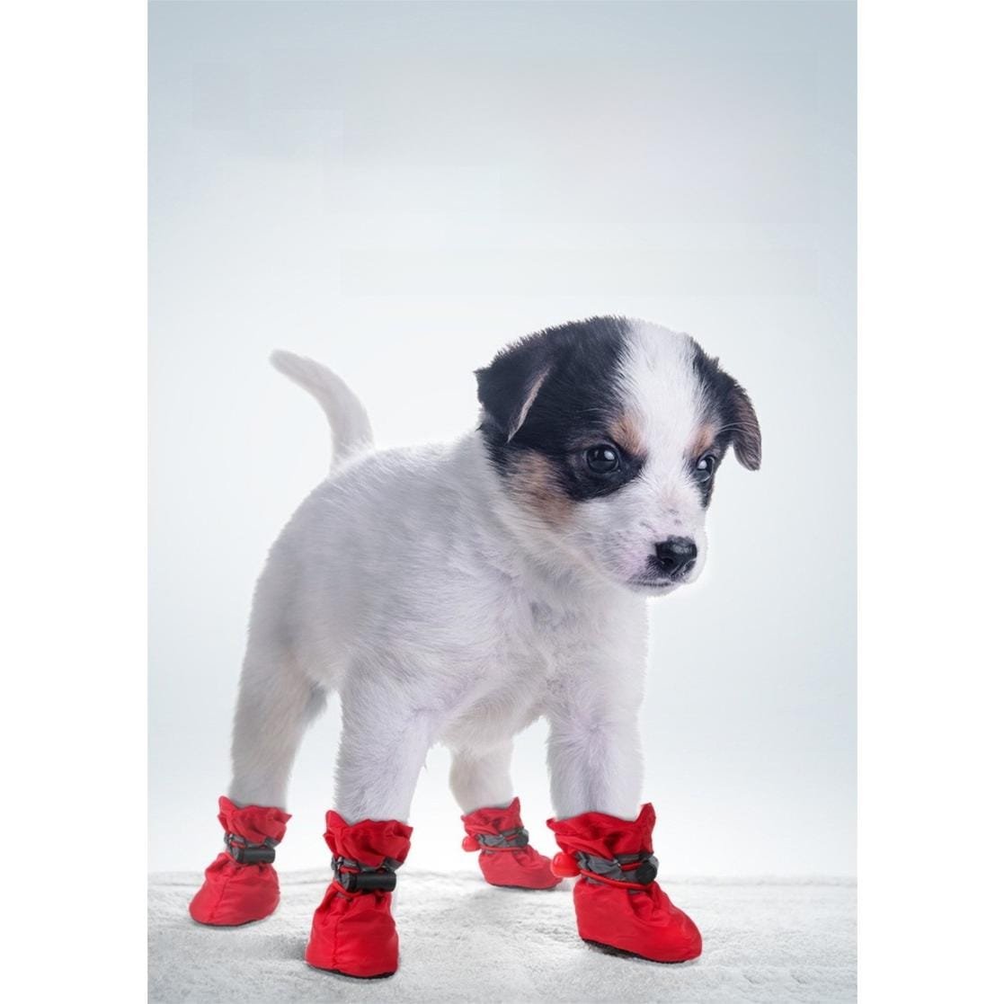 soft fleece-lined dog boots showing warm interior