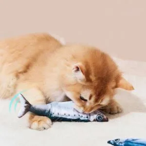 set of fish-shaped cat toys arranged on blue background