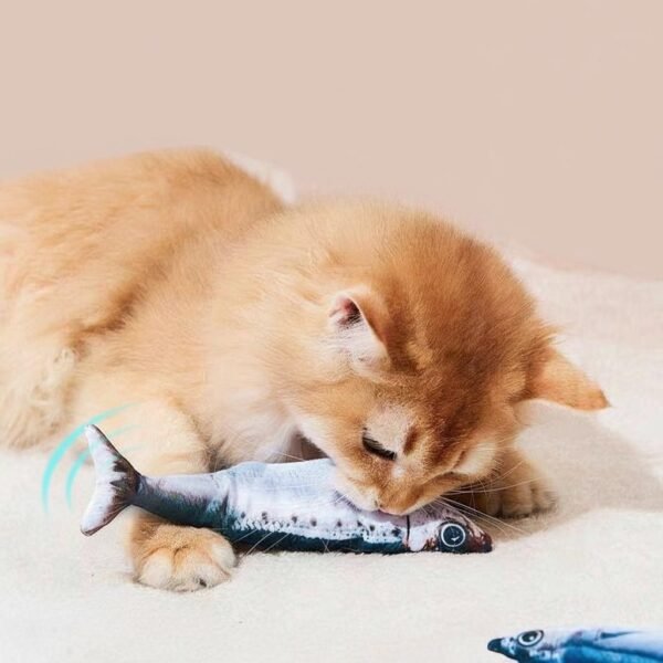 set of fish-shaped cat toys arranged on blue background set of fish-shaped cat toys arranged on blue background